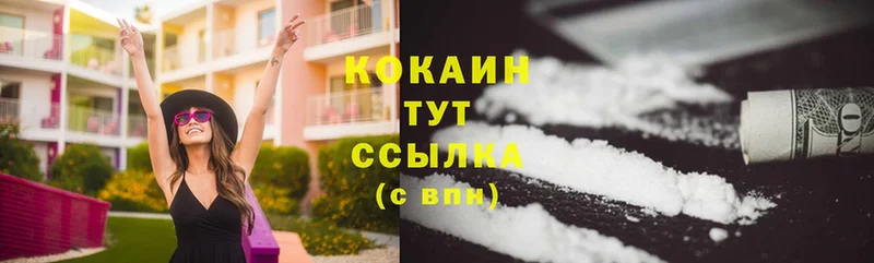 Cocaine FishScale  купить   Прокопьевск 